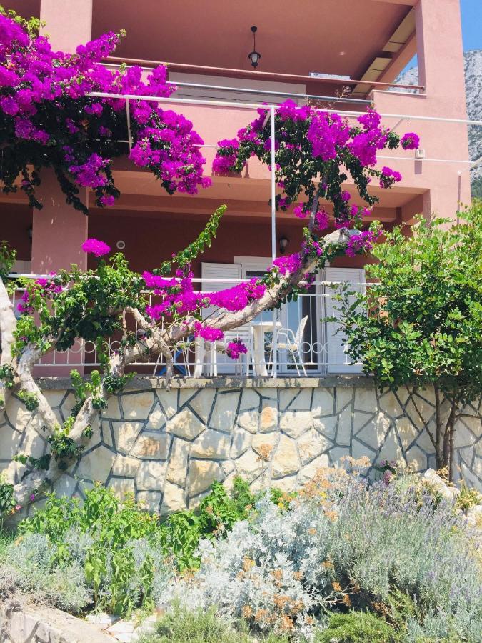 Apartments Jurakovic Živogošće Buitenkant foto